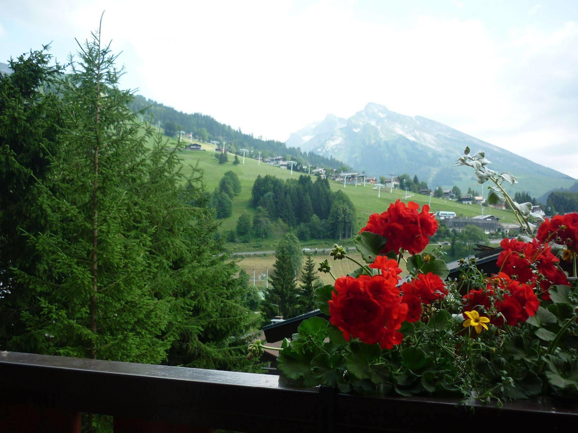 Location D'Appartements - La Residence La Clusaz Buitenkant foto